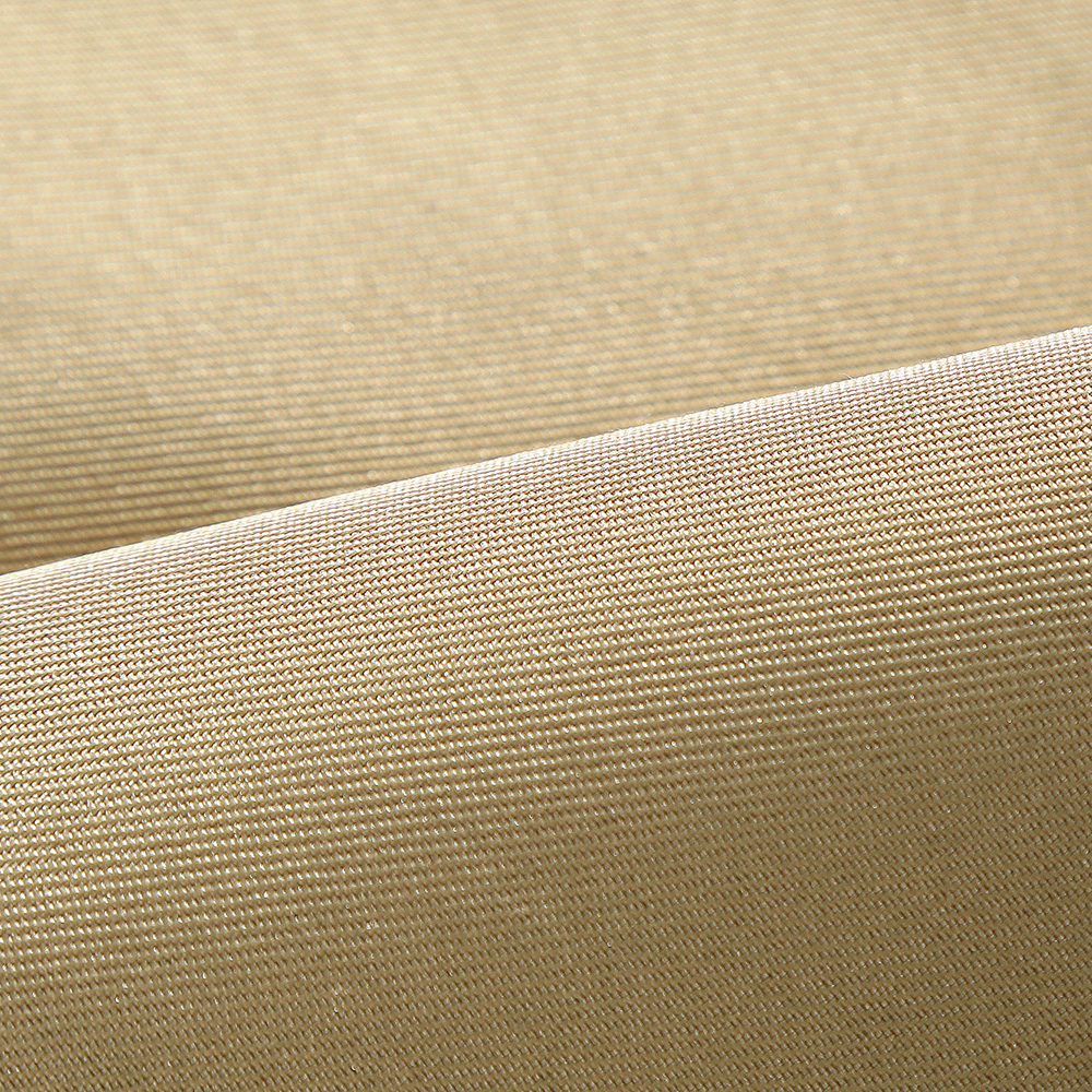 PKM Legend Z A Emma Cosplay Costume