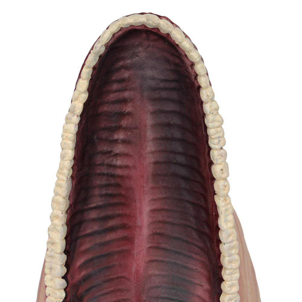 Beetlejuice Barbara Maitland Mask Cosplay Prop