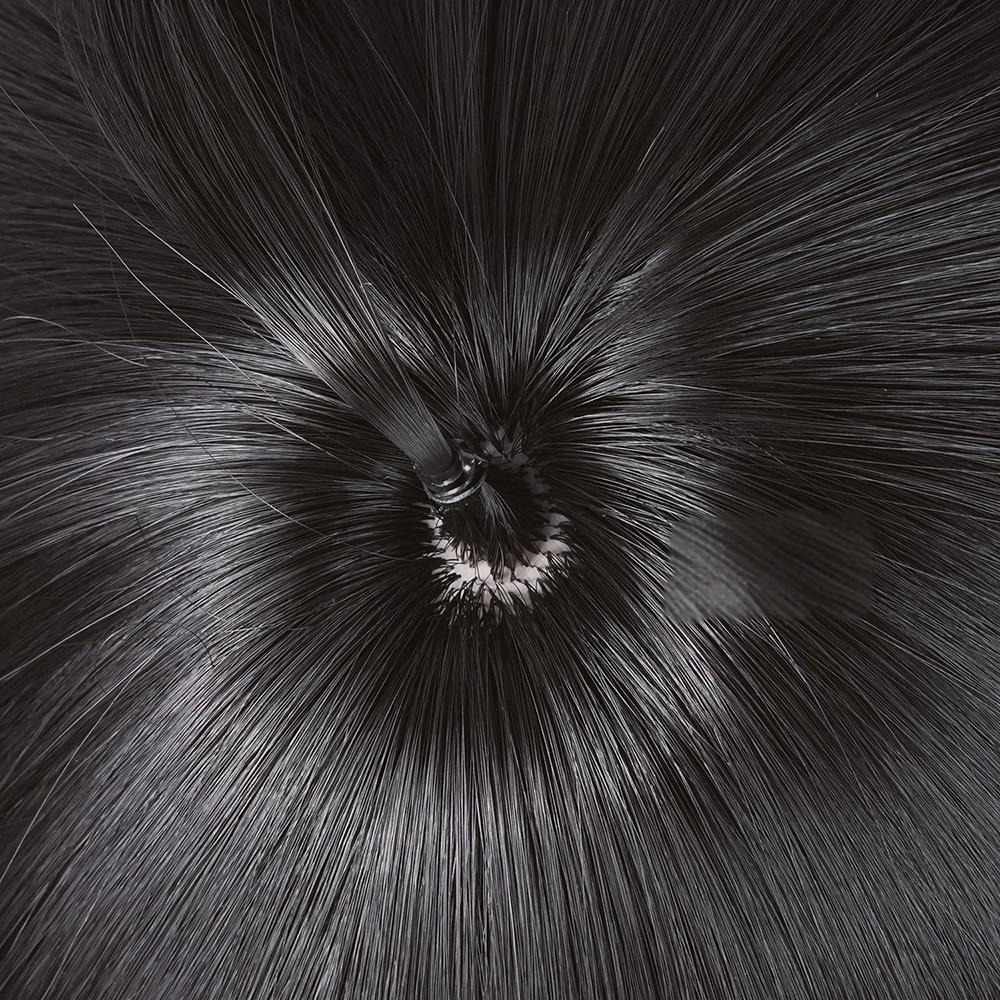 Honkai: Star Rail Dan Heng Permansor Terrae Black Cosplay Wig