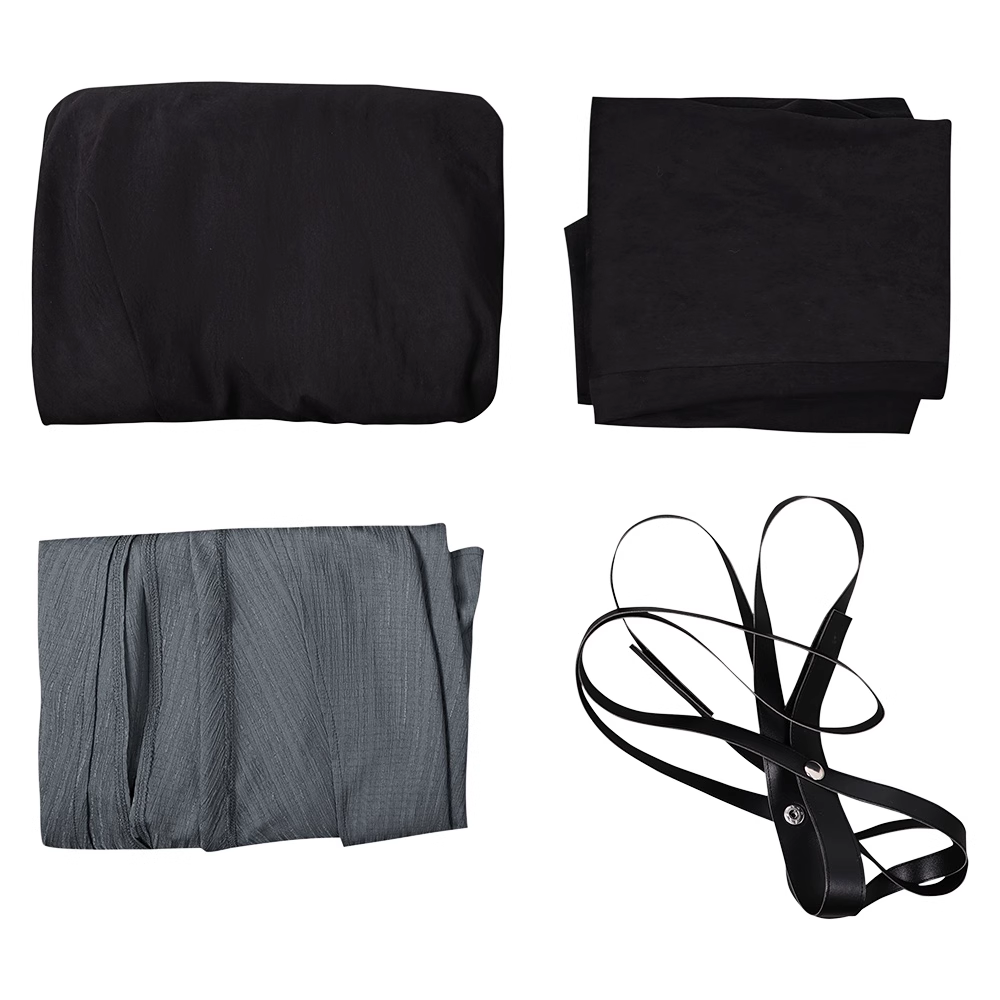 In the Lost Lands Gray Alys Cosplay Costume