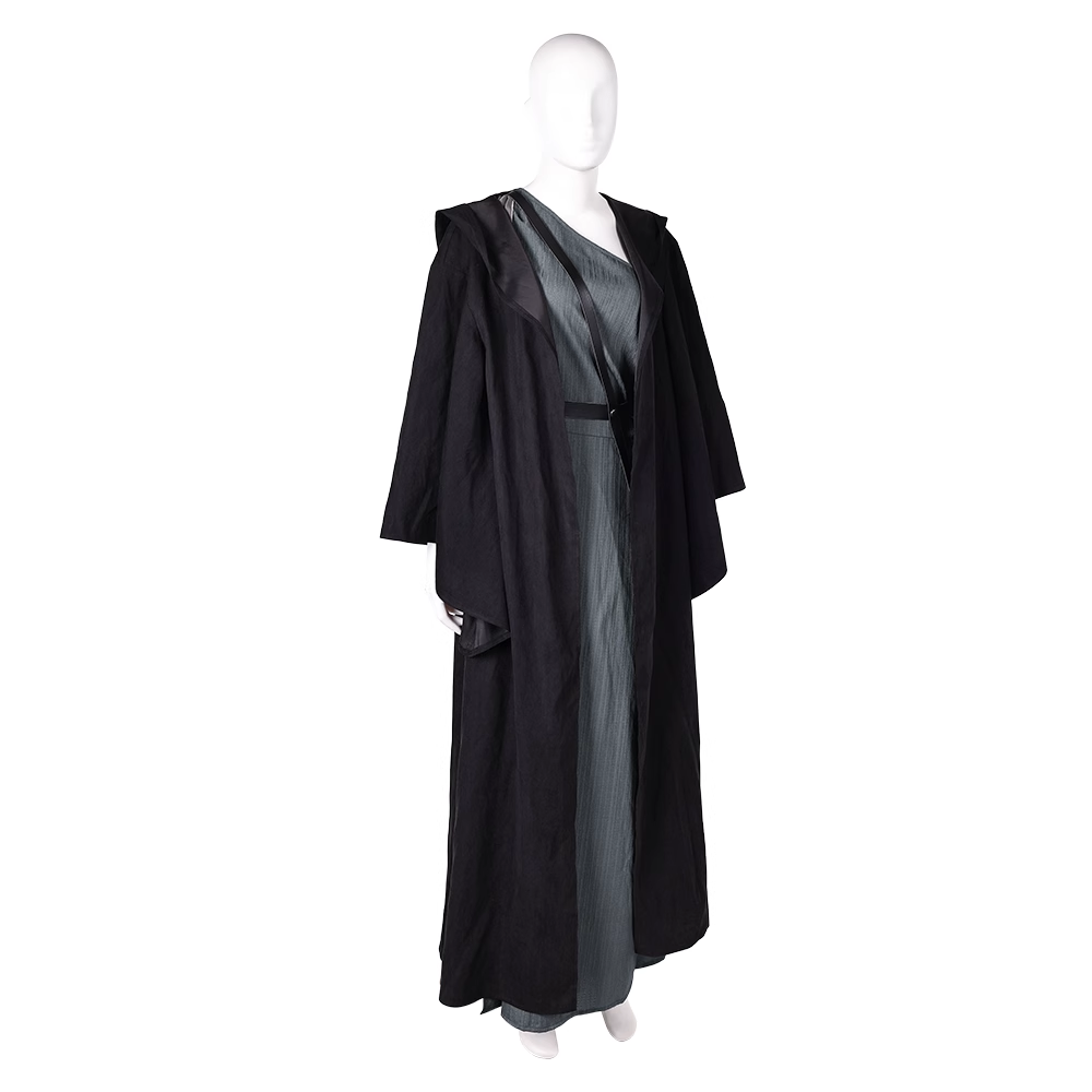 In the Lost Lands Gray Alys Cosplay Costume