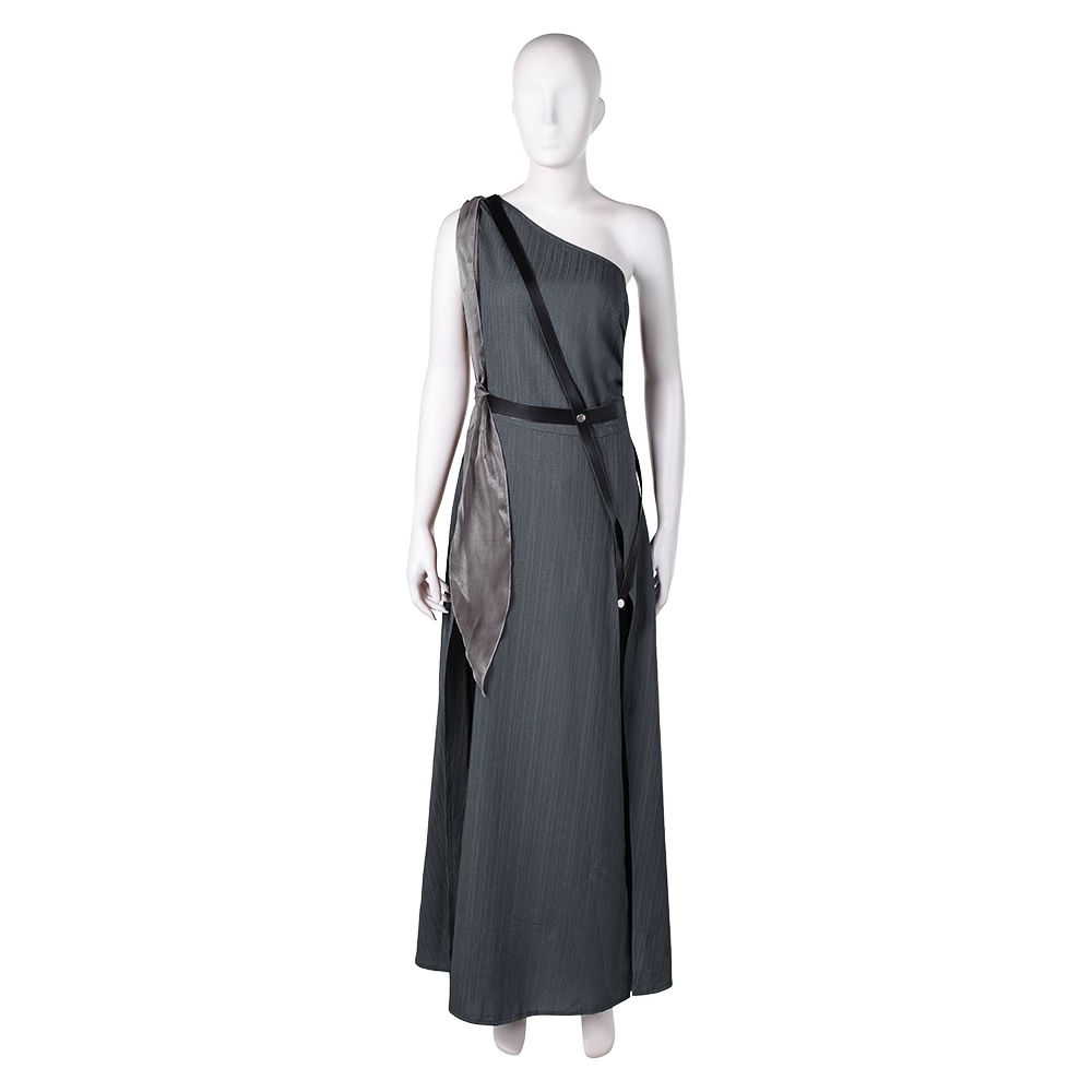 In the Lost Lands Gray Alys Cosplay Costume