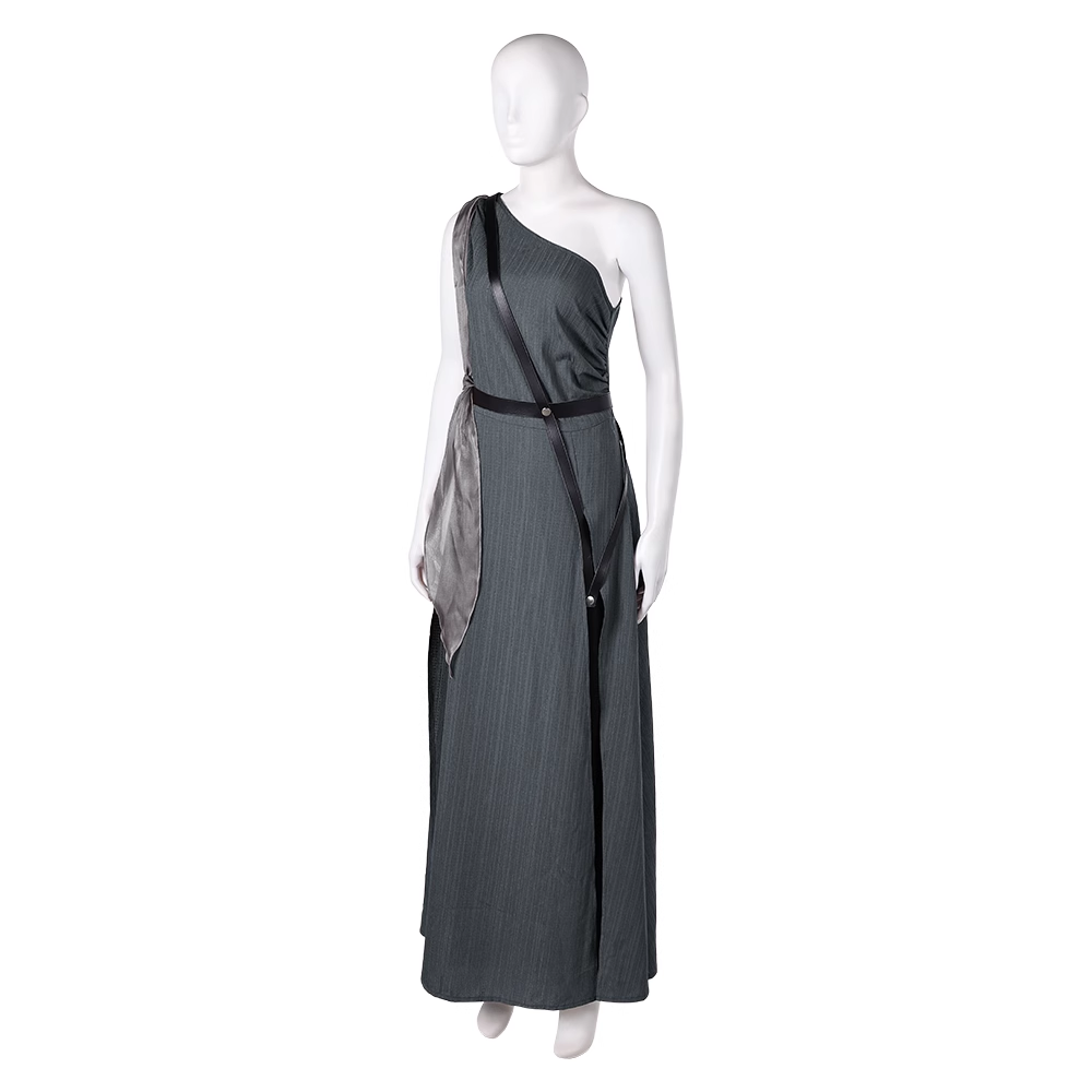 In the Lost Lands Gray Alys Cosplay Costume