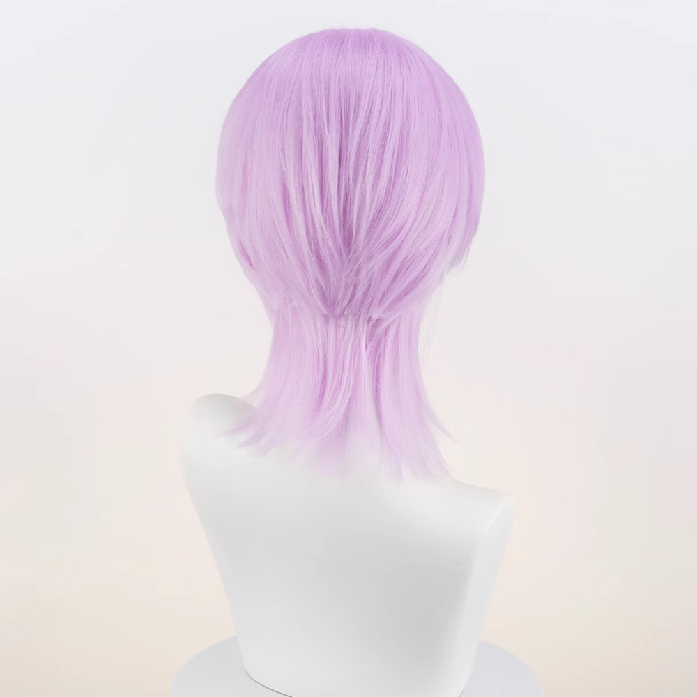 New Panty And Stocking with Garterbelt Brothers Polyester Polyurethane Blue Purple Cosplay Wig