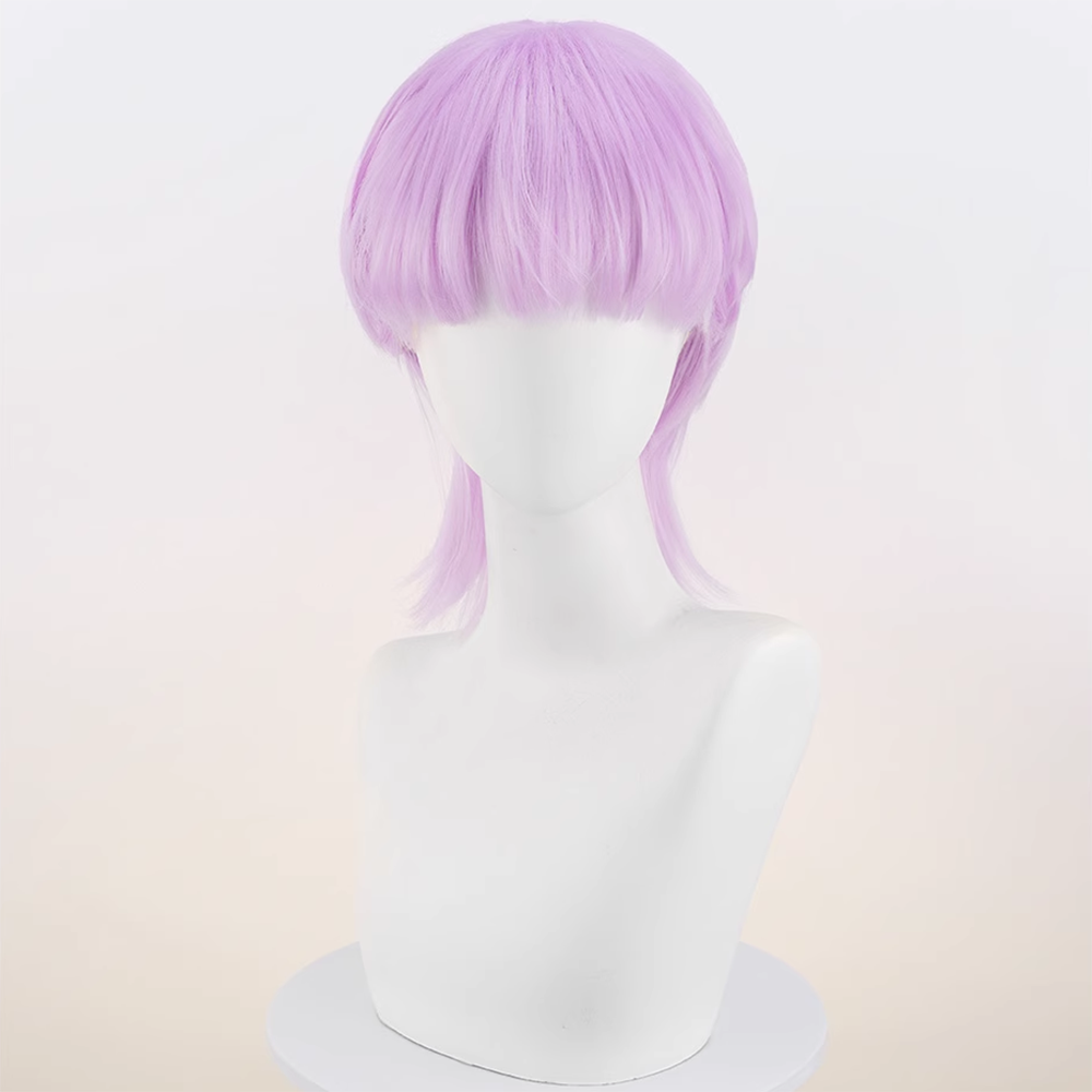 New Panty And Stocking with Garterbelt Brothers Polyester Polyurethane Blue Purple Cosplay Wig