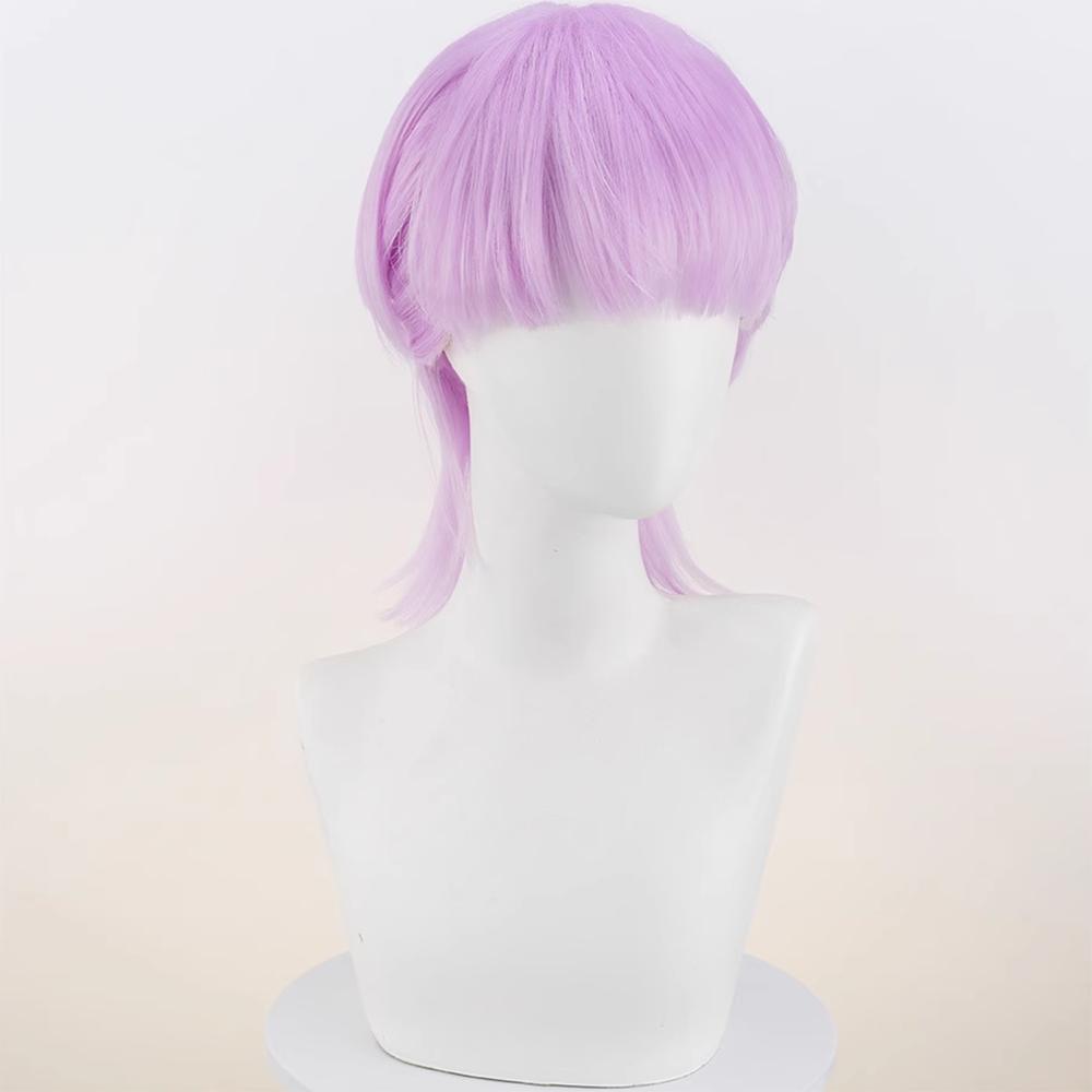 New Panty And Stocking with Garterbelt Brothers Polyester Polyurethane Blue Purple Cosplay Wig