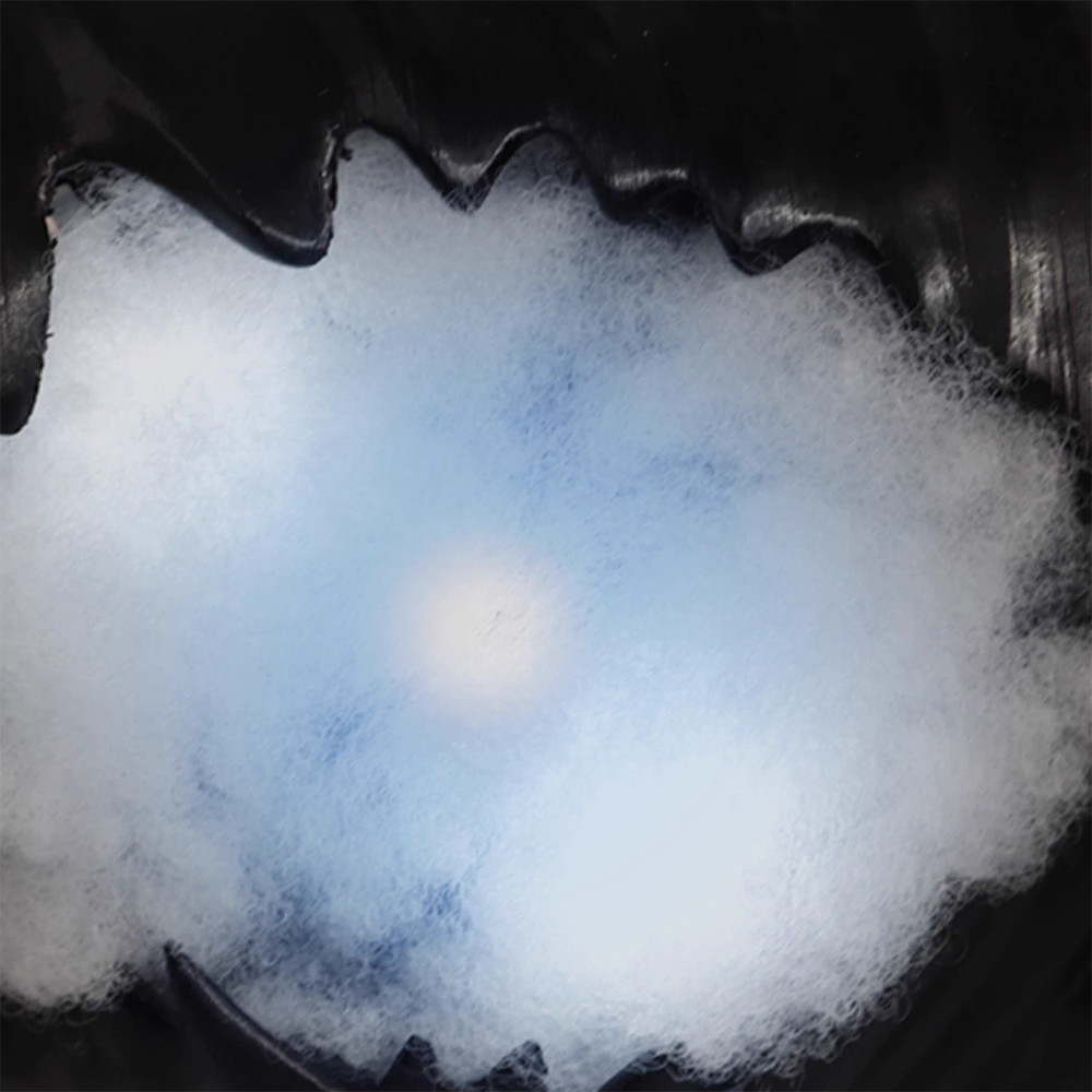 The Hundred Line Last Defense Academy Hiruko Shizuhara Cosplay Costume