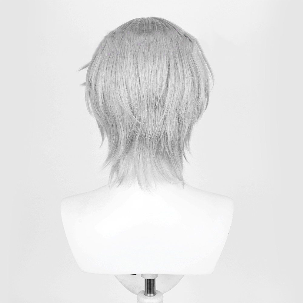 Zenless Zone Zero Wise Silver Cosplay Wig