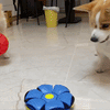 The Flying Saucer Ball™ 2.0 [Free Today]
