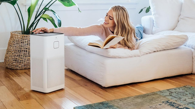 RuiSen Tabletop Purifier