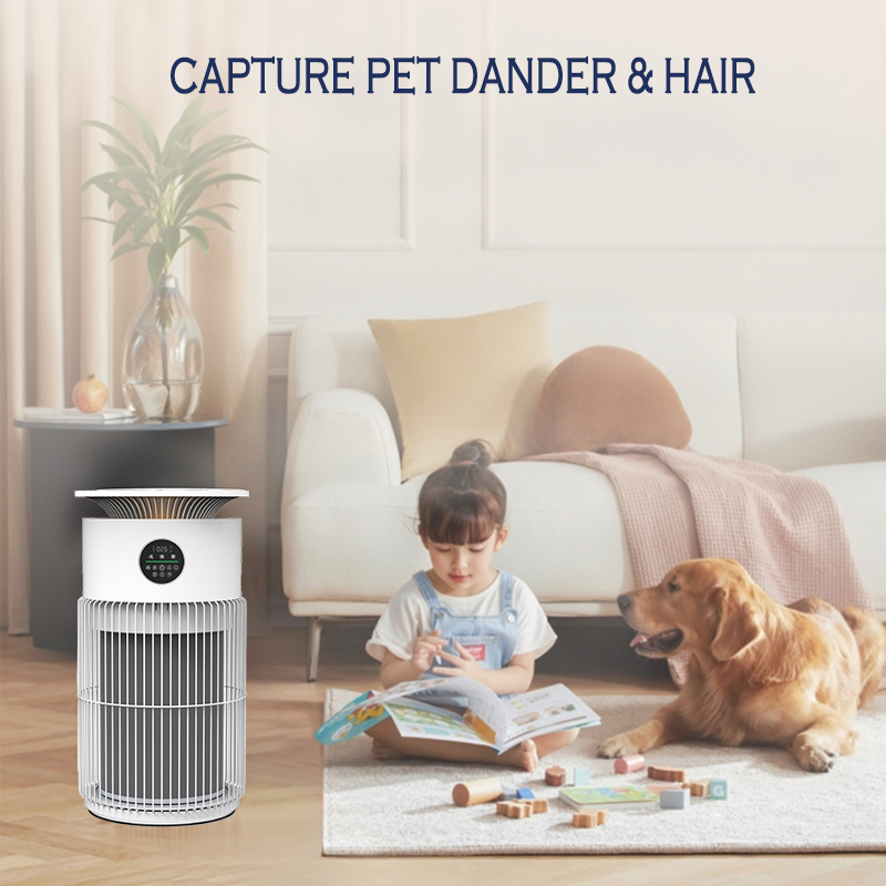 RuiSen Air-Purifier For Home/ Bedroom A401