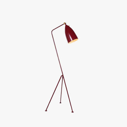 Morandi Modern Metallkopp Svart Golvlampa, Flera Färger