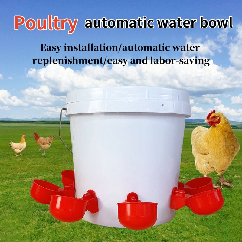 Hot sale - 40% off💥Poultry automatic waterer