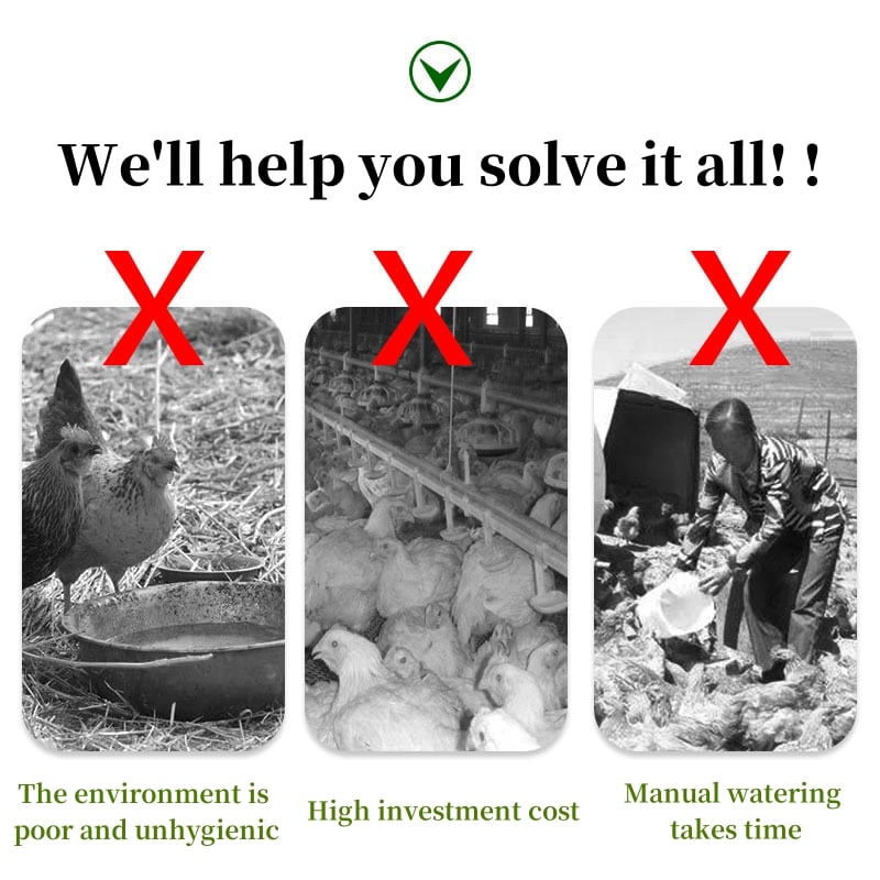 Hot sale - 40% off💥Poultry automatic waterer