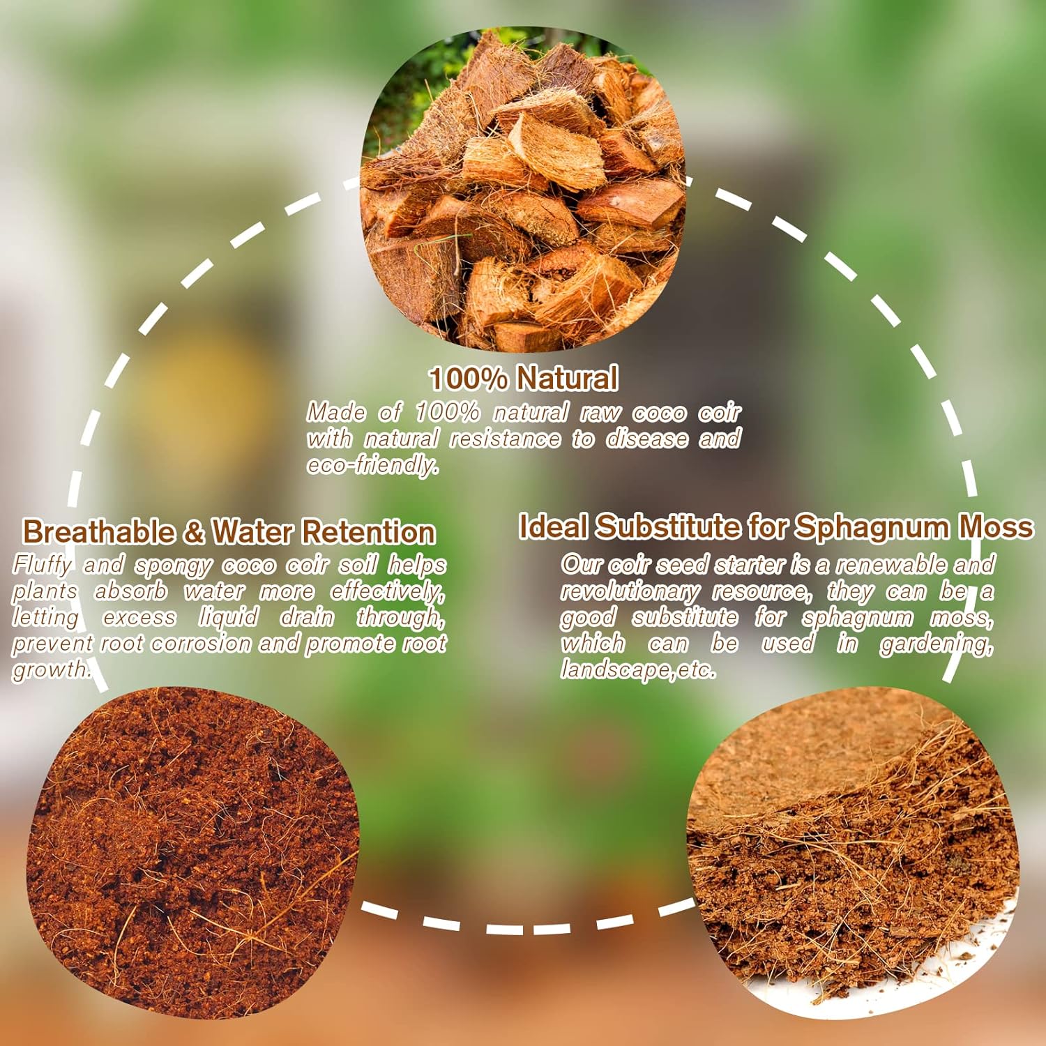 Premium Organic Coconut Coir Bricks for Plants(Collected from Pacific island countries)