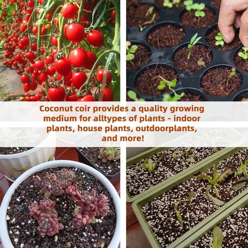 Premium Organic Coconut Coir Bricks for Plants(Collected from Pacific island countries)