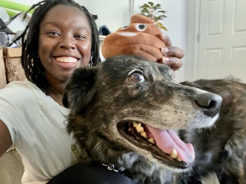 🎁Lowest price ever💥Funny Talking Poop Plush Toy – Makes Fart Sounds!