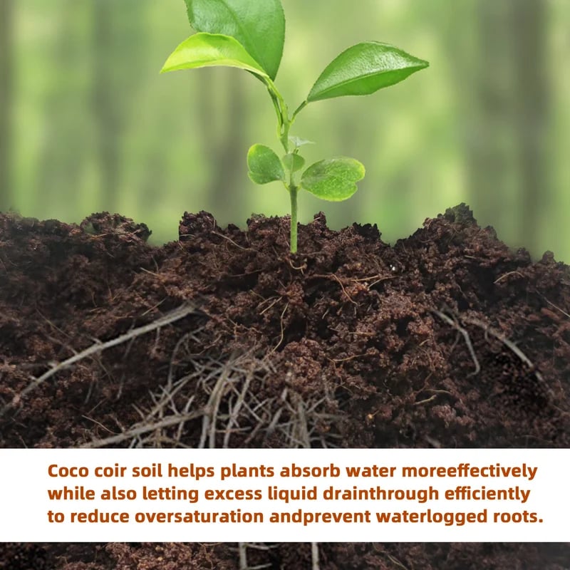 Premium Organic Coconut Coir Bricks for Plants(Collected from Pacific island countries)