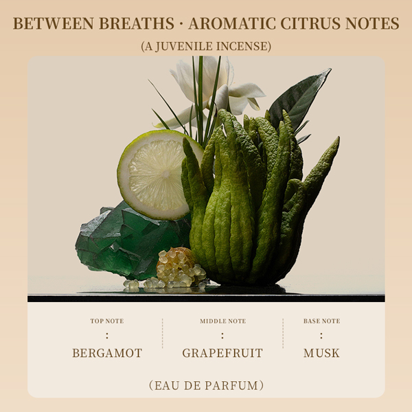 Tomlinson Men's Perfume