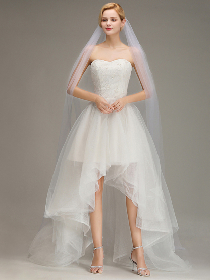 One Layer Cathedral Length Wedding Veil with Comb