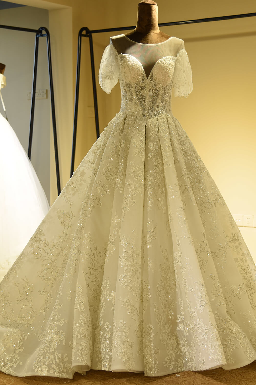 Glorious Short Sleeve Lace Tulle Wedding Dress