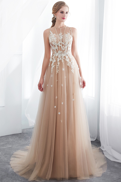 Long A-line Sleeveless Appliqued Lace Tulle Floor Length Evening Dresses