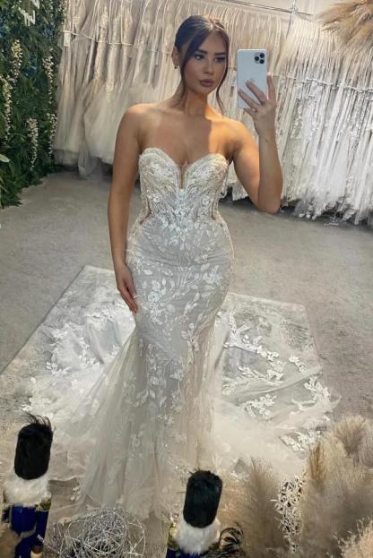 Cocosbride Plus Size Sweetheart Tulle Wedding Dress with Lace Appliques ?C Front View, Long Bridal Gown for Curvy Brides