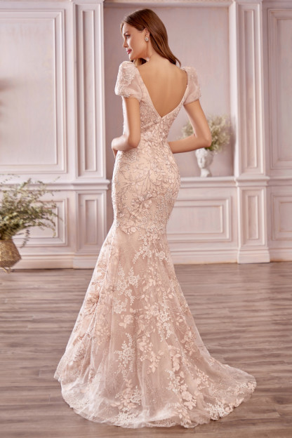 Elegant A-line Sweetheart Short Sleeve Backless Appliques Lace Mermaid Prom Dress