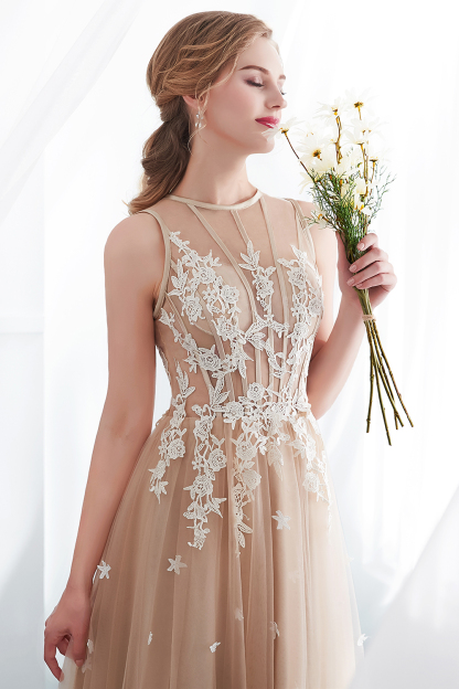 Long A-line Sleeveless Appliqued Lace Tulle Floor Length Evening Dresses