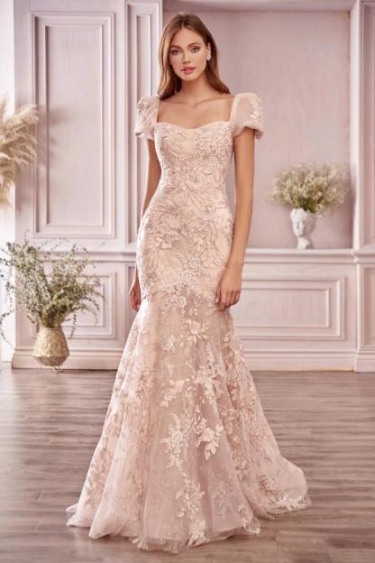Elegant A-line Sweetheart Short Sleeve Backless Appliques Lace Mermaid Prom Dress
