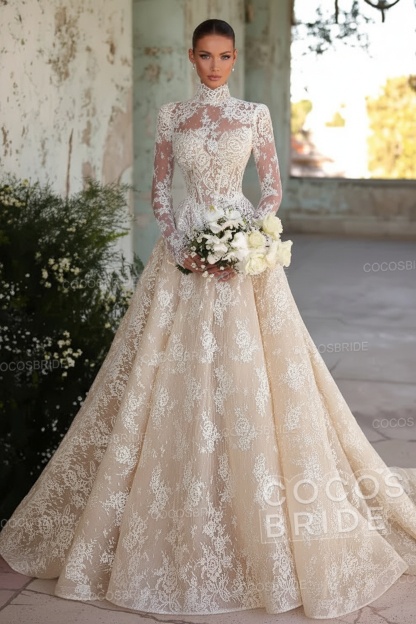 Long Sleeve High Neck A-Line Tulle Wedding Dress with Lace Applique