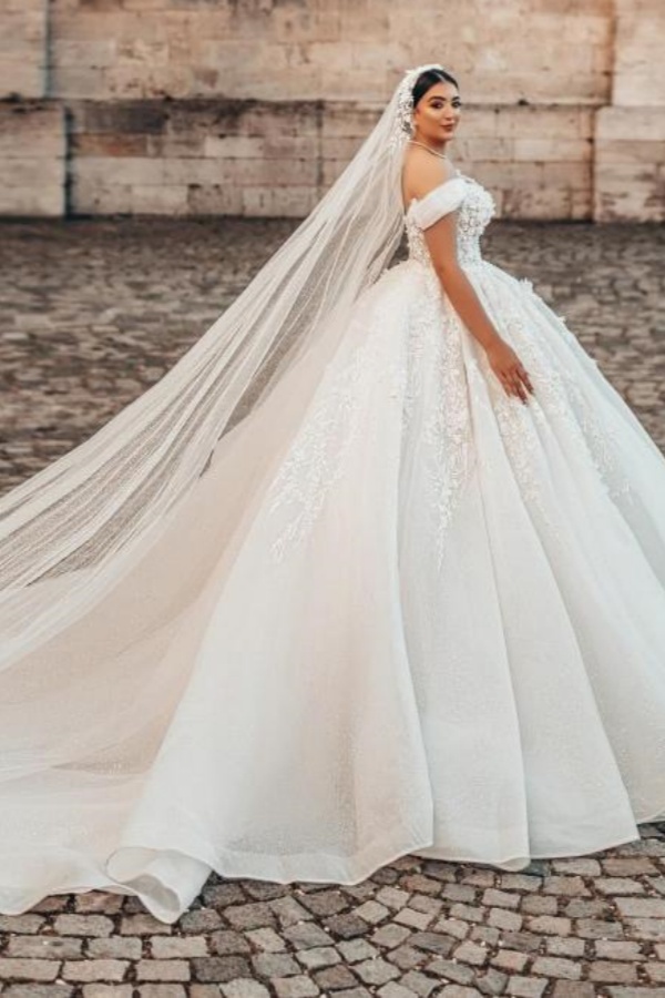 Elegant Plus Size Ball Gown Off the Shoulder Tulle Lace Long Wedding Dresses