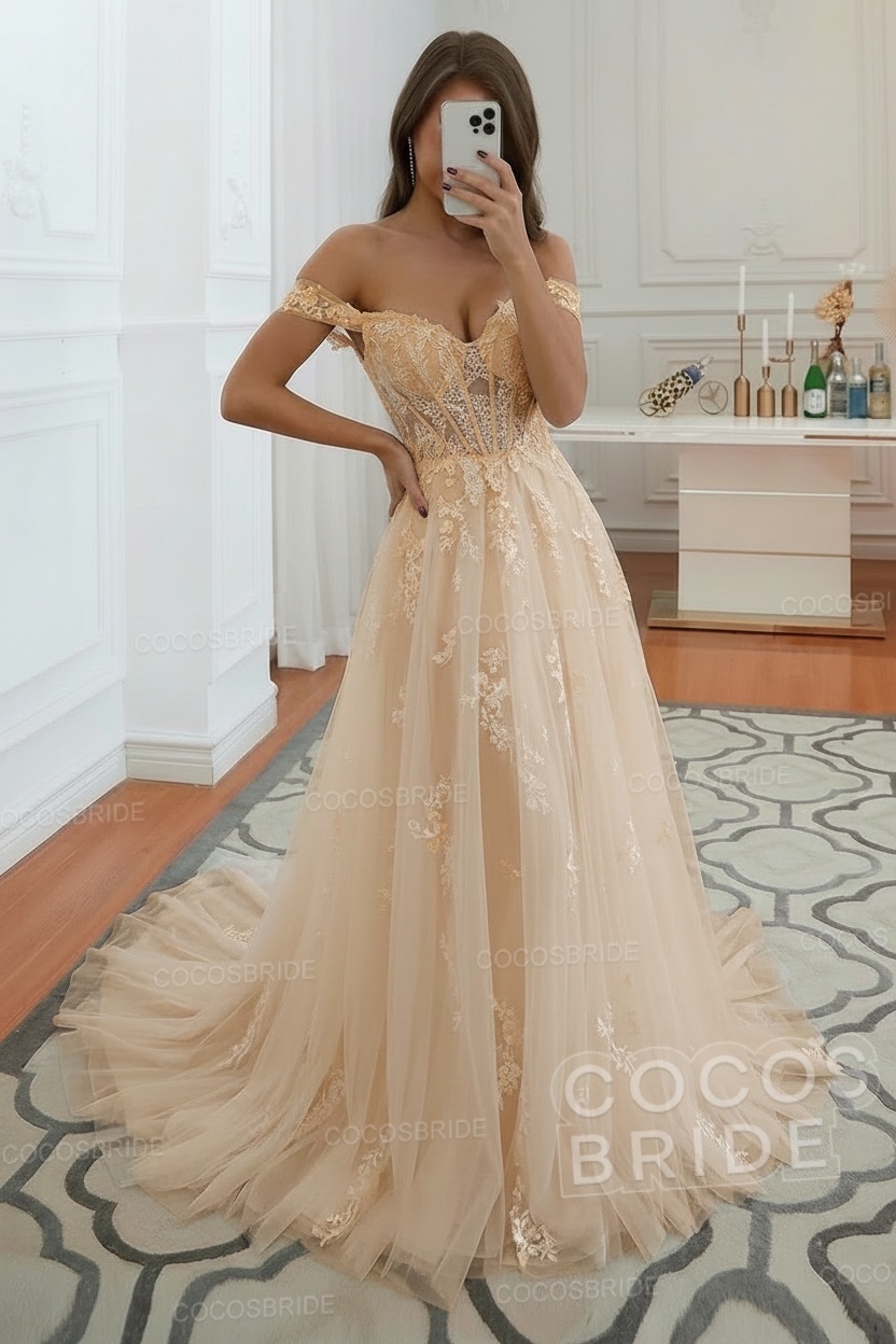 Long A-line Off the Shoulder Tulle Lace Wedding Dress
