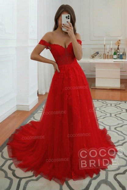 Long A-line Off the Shoulder Tulle Lace Wedding Dress