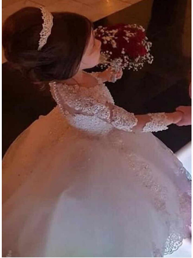 Ball Gown Floor Length Wedding Flower Girl Dresses - Lace Long Sleeve Jewel Neck With Appliques / Solid