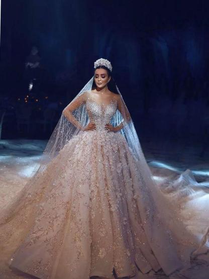 Luxury Long V Neck Ball Gown Tulle Lace Wedding Dresses with Sleeves