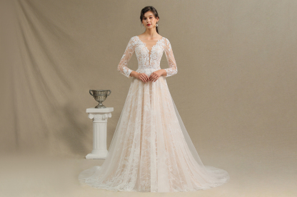 Long A-line V-neck Tulle Lace Wedding Dress with Sleeves