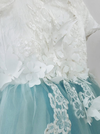 Long A-line Tulle Jewel Neck Appliques Lace Flower Girl Dresses with Sleeves