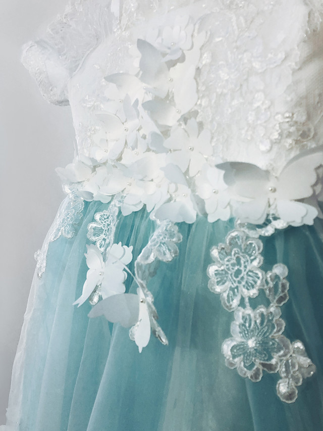 Long A-line Tulle Jewel Neck Appliques Lace Flower Girl Dresses with Sleeves