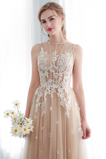 Long A-line Sleeveless Appliqued Lace Tulle Floor Length Evening Dresses