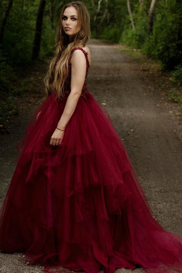 Classy A-line V-neck Spaghetti Straps Appliques Lace Backless Tulle Prom Dress