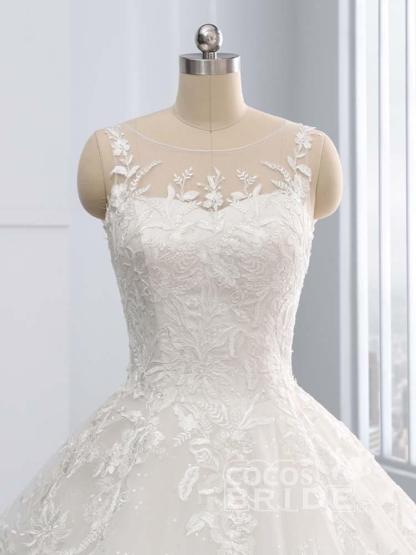 Gorgeous Ivory Long Tulle Lace-Up Sweep Train Ball Gown Wedding Dresses