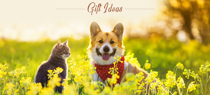 Amazing Custom Gifts for Pets and Their Owner - YesCustom