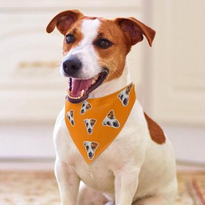 Custom Custom Cat Dog Face Solid Color Pajama Pants and Pet Dog Bandana - YesCustom