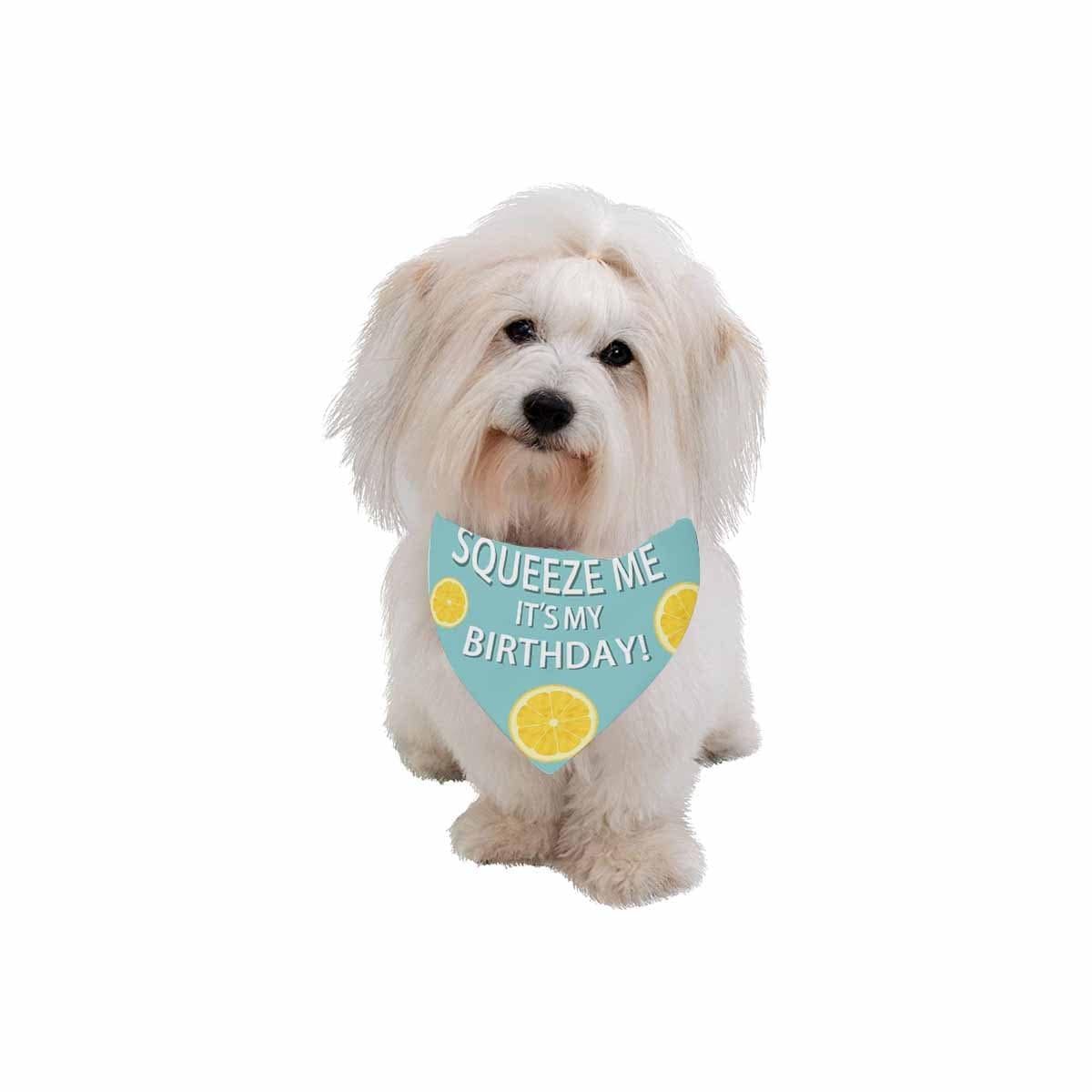 Custom Custom Face Lemon Birthday Pet Bandana - YesCustom