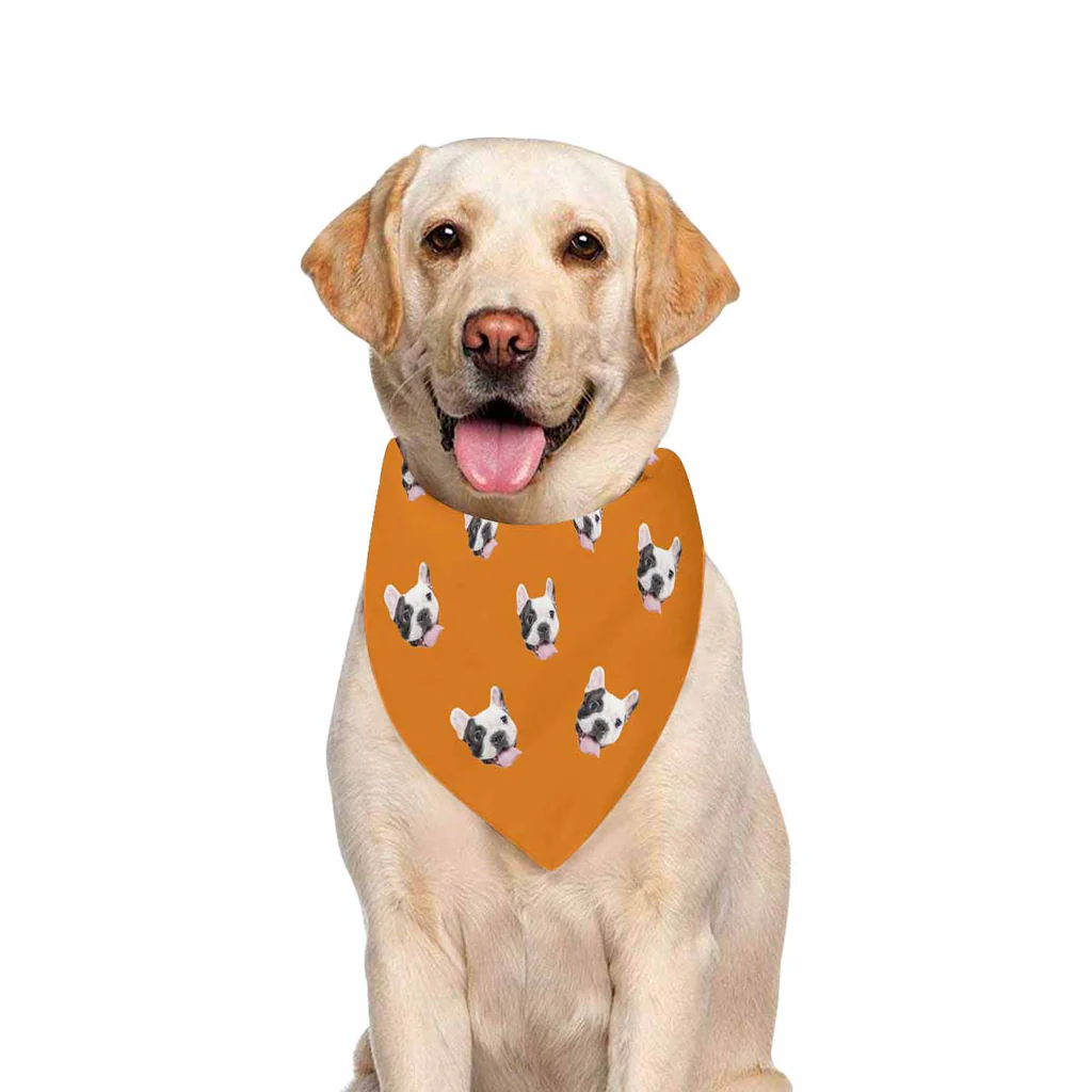 Pet Supplies