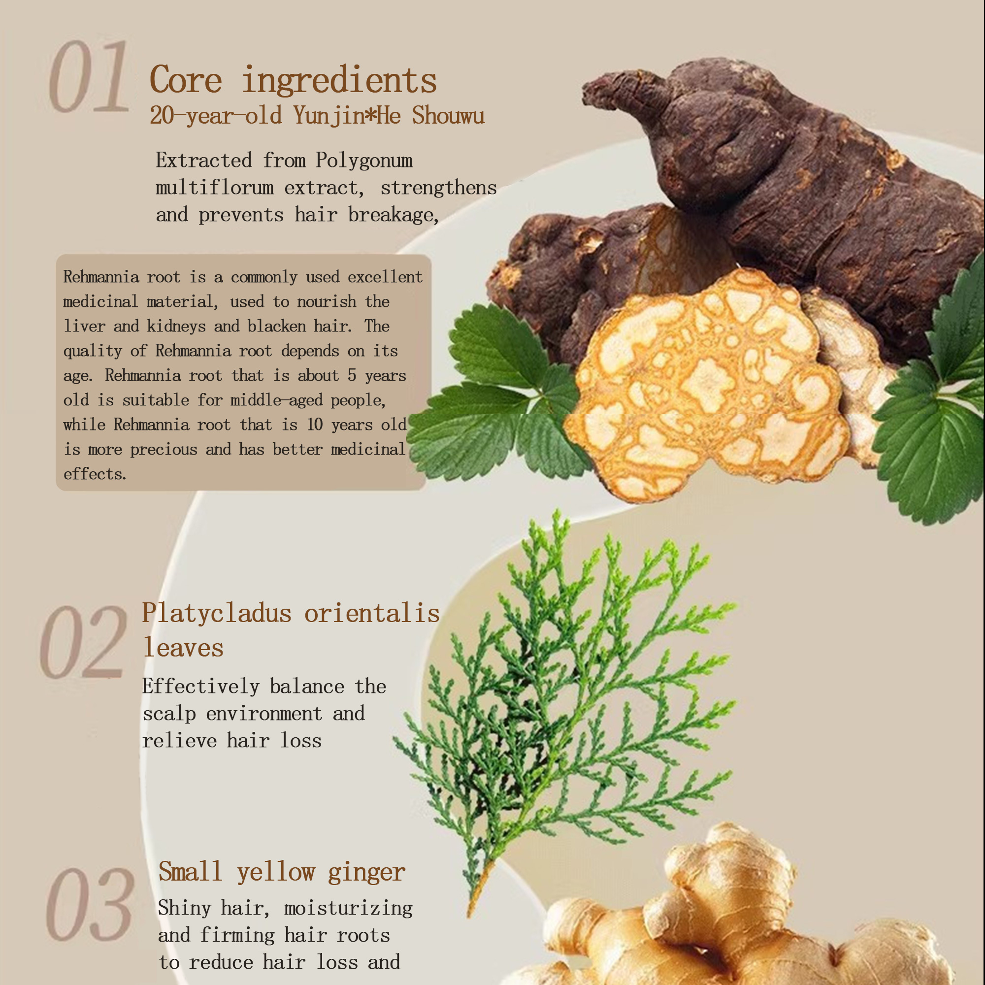 Chinese Intangible Cultural Heritage Chinese Herbal Scented Comb (Protects Hair Roots and Prevents Hair Loss)