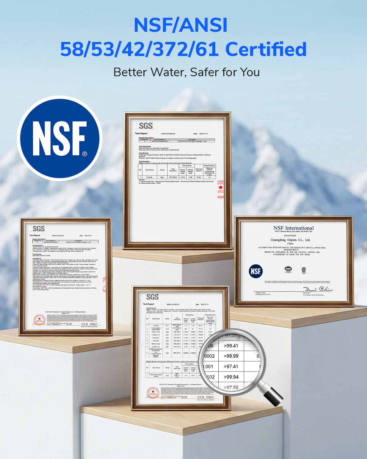 Ecoviva RO1000G Tankless 9-Stage Reverse Osmosis Water Filtration System For Commercial And Big Family