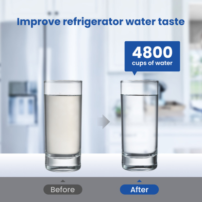 LT1000P Replacement Water Filter