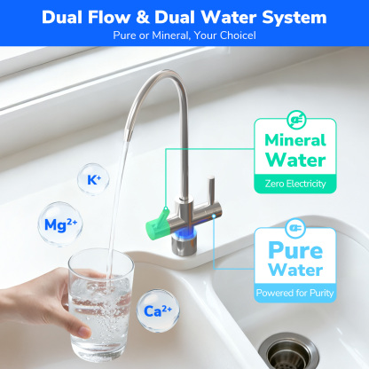 Ecoviva ER600 Tankless Reverse Osmosis System Efficient Water Purification, Water Saving, Easy Maintenance, Balck